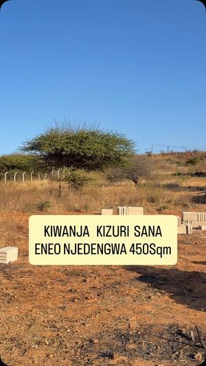 Kiwanja kinauzwa Njedengwa, Dodoma sqm 450 Kiwanja kinauzwa Njedengwa, Dodoma sqm 450
