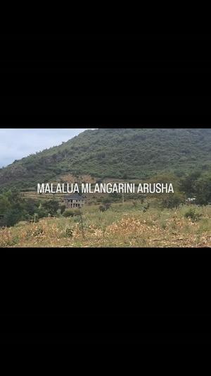 Kiwanja kinauzwa Mlangarini Malalua Kula Kidari, Arusha (425 sqm) Kiwanja kinauzwa Mlangarini Malalua Kula Kidari, Arusha (425 sqm)
