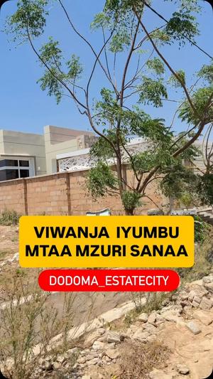 Residential Plot for Sale in Iyumbu North Block Ca, Dodoma (2000 sqm) Residential Plot for Sale in Iyumbu North Block Ca, Dodoma (2000 sqm)