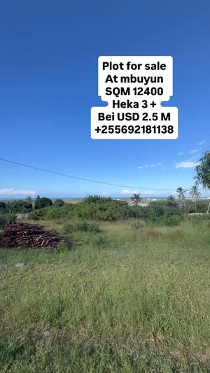 Kiwanja (Commercial Plot) kinauzwa Mbuyuni, Kunduchi, Dar Es Salaam (12400 sqm) Kiwanja (Commercial Plot) kinauzwa Mbuyuni, Kunduchi, Dar Es Salaam (12400 sqm)