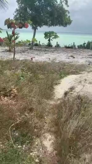 Kiwanja kinauzwa Michamvi, Zanzibar - Unguja South sqm 11000