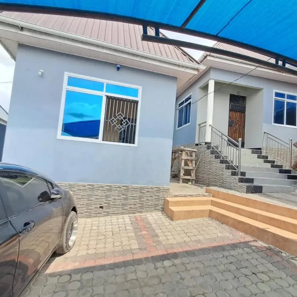 media -1 media -1