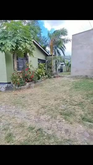 Nyumba ya vyumba vinne inapangishwa Ubungo Msewe, Dar Es Salaam Nyumba ya vyumba vinne inapangishwa Ubungo Msewe, Dar Es Salaam