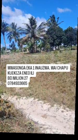 Residential Plots for Sale in Kigamboni Mwasonga, Dar Es Salaam (1 acre) Residential Plots for Sale in Kigamboni Mwasonga, Dar Es Salaam (1 acre)
