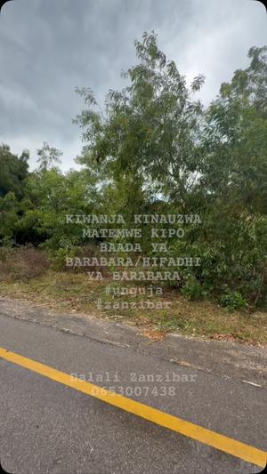 Kiwanja kinauzwa Matemwe, Zanzibar (572 sqm) Kiwanja kinauzwa Matemwe, Zanzibar (572 sqm)