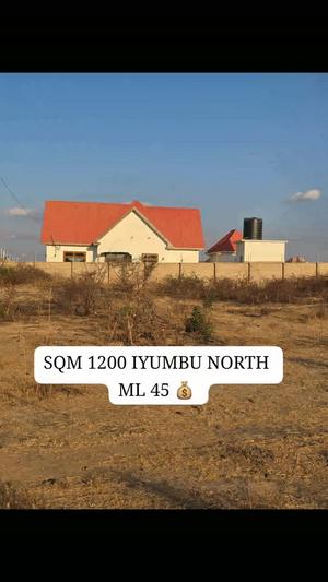 Kiwanja kinauzwa Iyumbu North, Dodoma (1200 sqm)