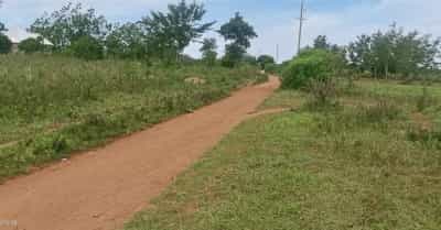 Nyumba ya vyumba vitatu inauzwa Msingi, Singida Nyumba ya vyumba vitatu inauzwa Msingi, Singida