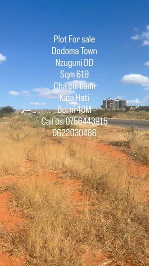 Kiwanja kinauzwa Nzuguni Dd, Dodoma sqm 619