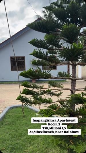 3 Bedrooms Apartment for Rent in Mbezi Beach, Dar Es Salaam 3 Bedrooms Apartment for Rent in Mbezi Beach, Dar Es Salaam