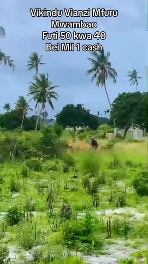 Residential Plots for Sale in Vikindu Vianzi Mfurumwambao, Pwani