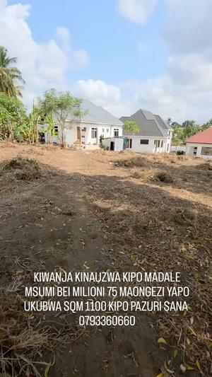 Residential Plot for Sale in Madale Msumi, Dar Es Salaam (1100 sqm) Residential Plot for Sale in Madale Msumi, Dar Es Salaam (1100 sqm)