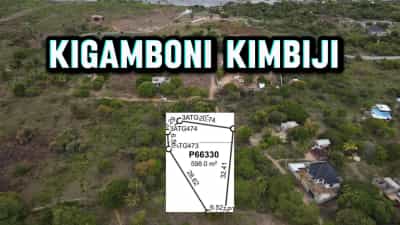 Beach Plots zinazouzwa Kigamboni Kimbiji Beach, Dar Es Salaam (598 sqm)