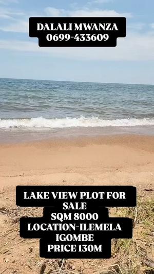 Plot for sale in Igombe, Mwanza sqm 8000 Plot for sale in Igombe, Mwanza sqm 8000