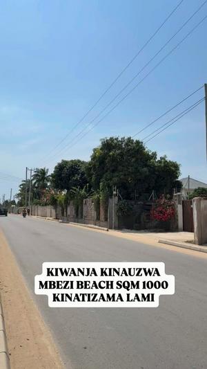 Plot for sale in Mbezi Beach, Dar Es Salaam sqm 1000