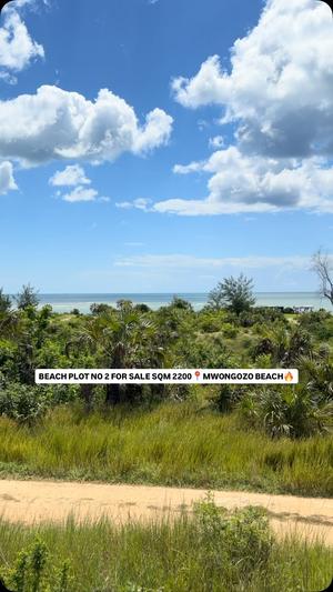 Beach Plot for Sale in Mwongozo Beach, Kigamboni, Dar Es Salaam (2200 sqm) Beach Plot for Sale in Mwongozo Beach, Kigamboni, Dar Es Salaam (2200 sqm)
