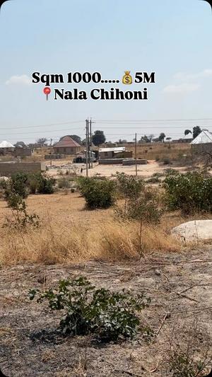 Kiwanja kinauzwa Nala Chihoni, Dodoma (1000 sqm)