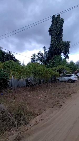 Kiwanja kinauzwa Bagamoyo Block P, Pwani (3000 sqm) Kiwanja kinauzwa Bagamoyo Block P, Pwani (3000 sqm)