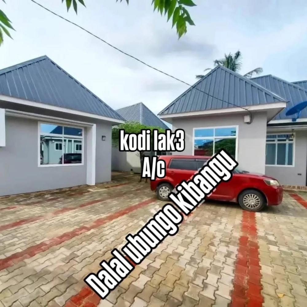 media -1 media -1