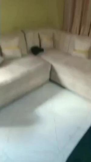 Apartment ya chumba kimoja inapangishwa Sinza Lion, Dar Es Salaam