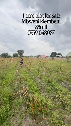 Kiwanja kinauzwa Mbweni Kiembeni, Dar Es Salaam (1 acre) Kiwanja kinauzwa Mbweni Kiembeni, Dar Es Salaam (1 acre)