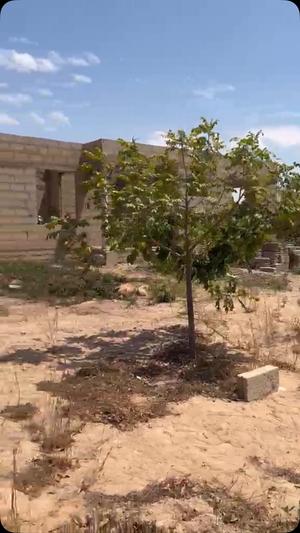 Kiwanja kinauzwa UDOM, Dodoma (362 sqm) Kiwanja kinauzwa UDOM, Dodoma (362 sqm)