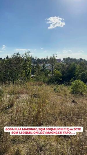 Viwanja vinauzwa Goba Njia Makongo, Dar Es Salaam (800 sqm) Viwanja vinauzwa Goba Njia Makongo, Dar Es Salaam (800 sqm)