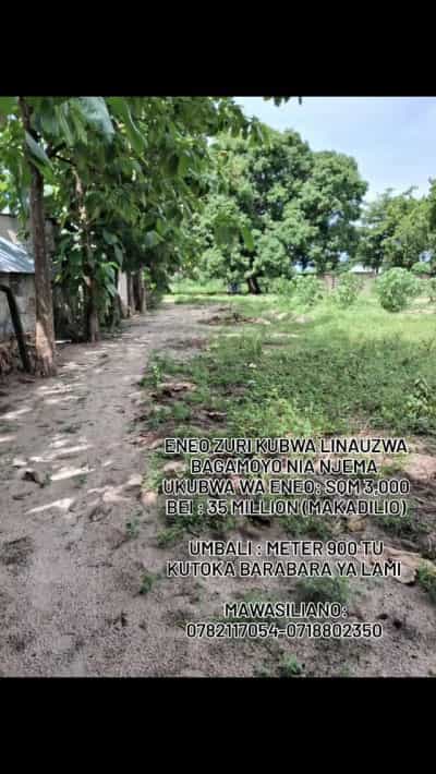 Kiwanja kinauzwa Bagamoyo Mjini, Pwani (3000 sqm)