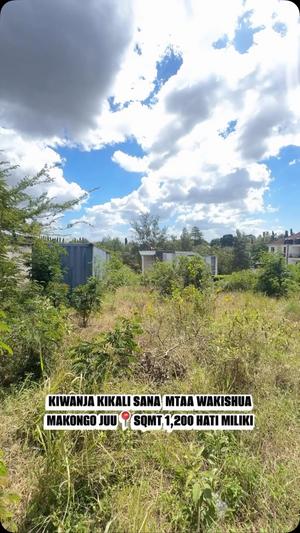 Plot for sale in Makongo Juu, Dar Es Salaam sqm 1200 Plot for sale in Makongo Juu, Dar Es Salaam sqm 1200
