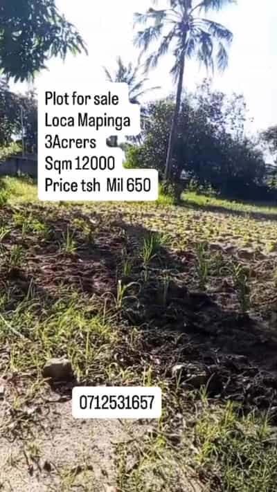 Kiwanja (Industrial Plot) inauzwa Mapinga, Pwani (12000 sqm)