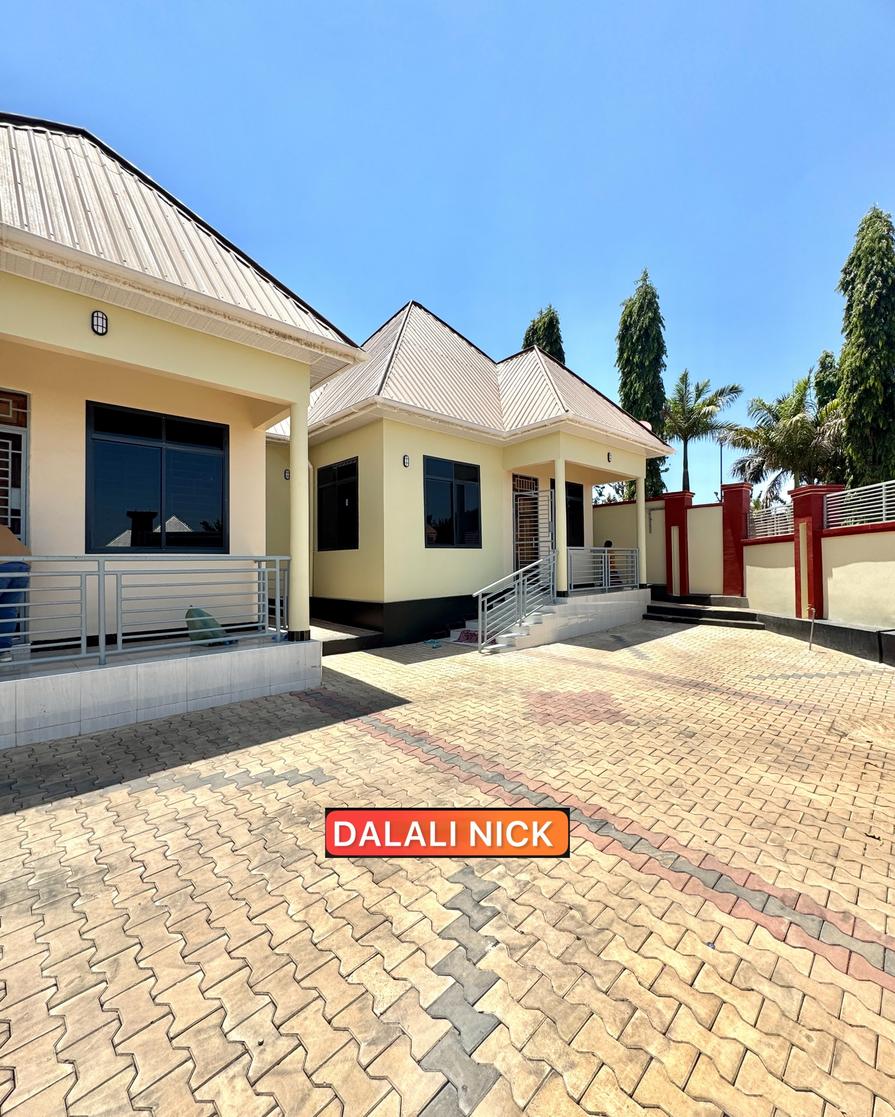 media -3