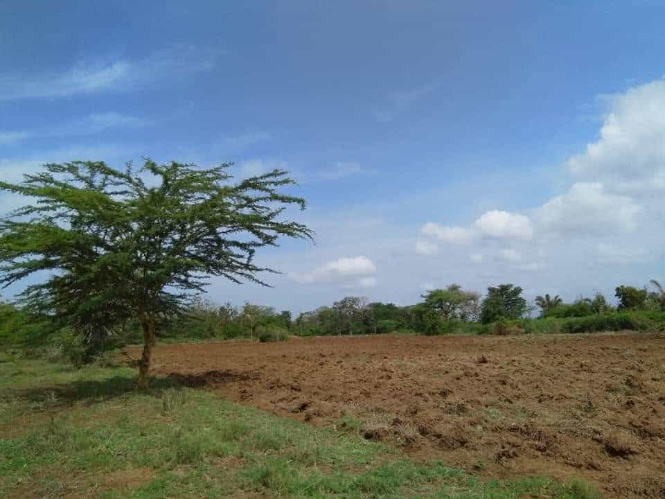 Shamba linauzwa Kahe Mashariki, Kilimanjaro Shamba linauzwa Kahe Mashariki, Kilimanjaro