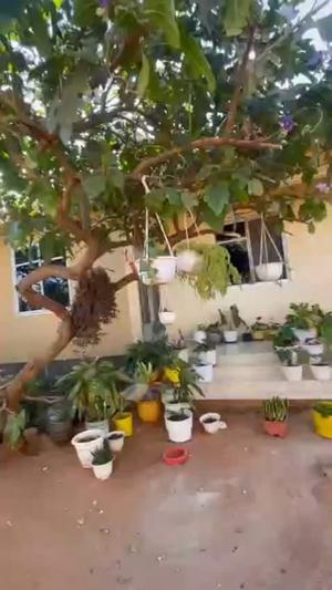 1 Bedroom House for Rent in Chidachi, Dodoma