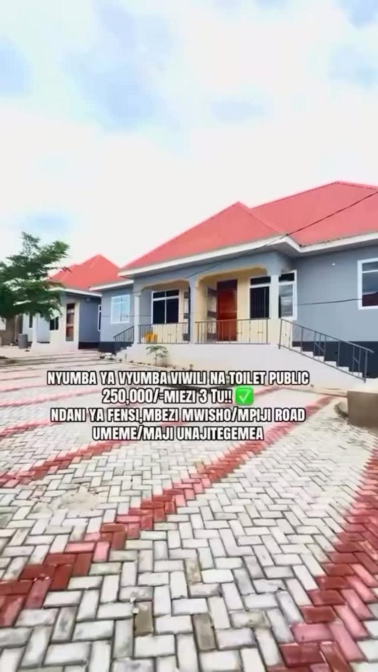  media -1