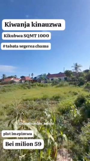Residential/Commercial Plot for Sale in Tabata Segerea Chama, Dar Es Salaam (1000 sqm) Residential/Commercial Plot for Sale in Tabata Segerea Chama, Dar Es Salaam (1000 sqm)