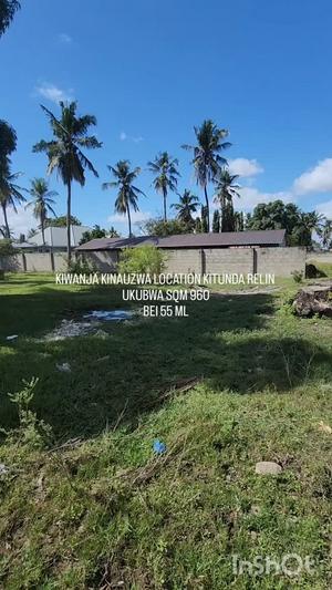 Kiwanja kinauzwa Kitunda Relin, Dar Es Salaam (960 sqm) Kiwanja kinauzwa Kitunda Relin, Dar Es Salaam (960 sqm)