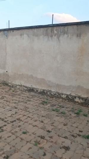 Nyumba ya vyumba vitatu inapangishwa Mkuzo Songea, Ruvuma