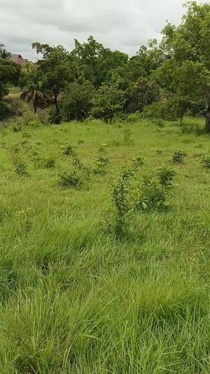 Plot for sale in Kibamba Gogoni, Dar Es Salaam sqm 400 Plot for sale in Kibamba Gogoni, Dar Es Salaam sqm 400