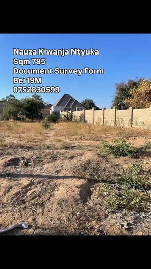Residential Plot for Sale in Ntyuka, Dodoma (785 sqm) Residential Plot for Sale in Ntyuka, Dodoma (785 sqm)