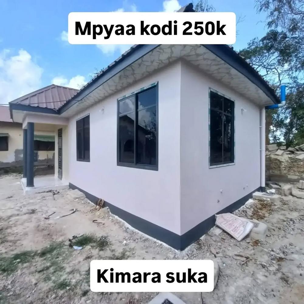 media -1 media -1
