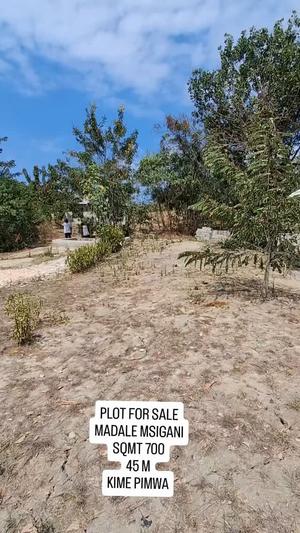 Kiwanja kinauzwa Madale Msigani Center, Dar Es Salaam (700 sqm)