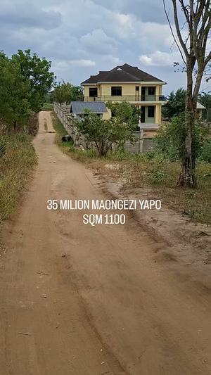 Residential Plot for Sale in Mbezi Msakuzi, Dar Es Salaam (1100 sqm) Residential Plot for Sale in Mbezi Msakuzi, Dar Es Salaam (1100 sqm)