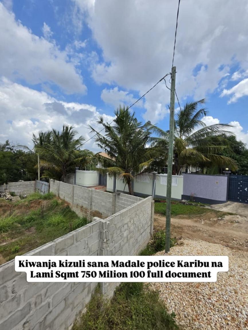media -1 media -1
