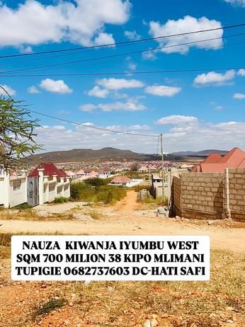 Viwanja vinauzwa Iyumbu West, Dodoma sqm 740 Viwanja vinauzwa Iyumbu West, Dodoma sqm 740