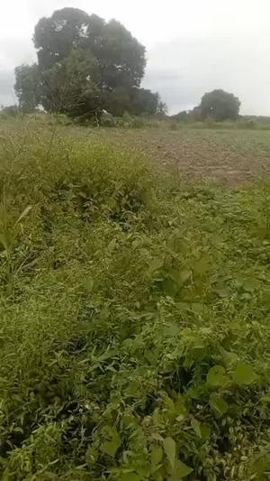 Kiwanja (Industrial Plot) inauzwa Misugusugu, Pwani (10 acre)