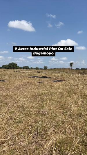 Kiwanja (Industrial Plot) inauzwa Bagamoyo, Pwani Kiwanja (Industrial Plot) inauzwa Bagamoyo, Pwani