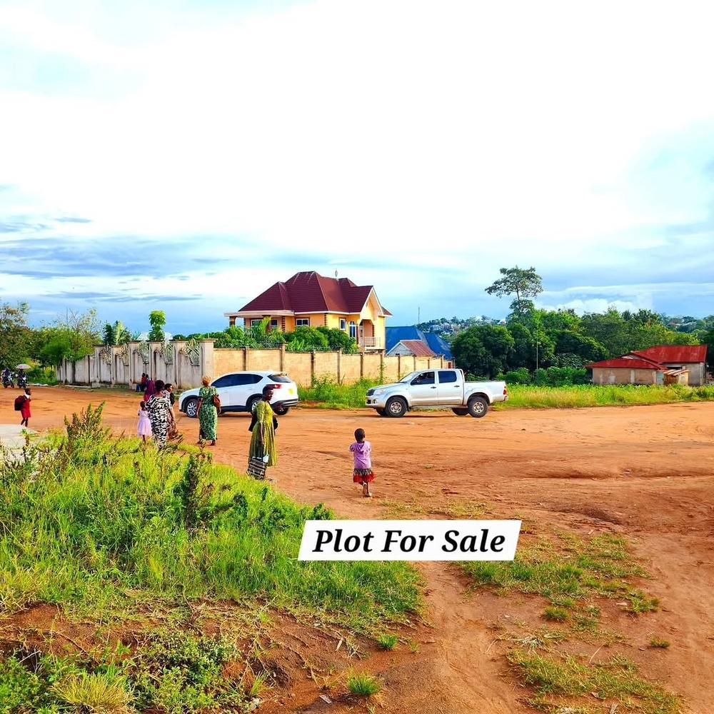 media -7 media -7