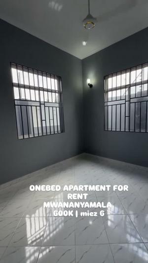 Apartment ya chumba kimoja inapangishwa Mwananyamala, Dar Es Salaam Apartment ya chumba kimoja inapangishwa Mwananyamala, Dar Es Salaam