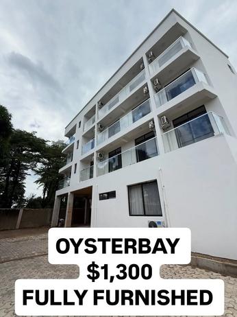 1 Bedroom Furnished House/Apartment for Rent in Oysterbay, Dar Es Salaam 1 Bedroom Furnished House/Apartment for Rent in Oysterbay, Dar Es Salaam