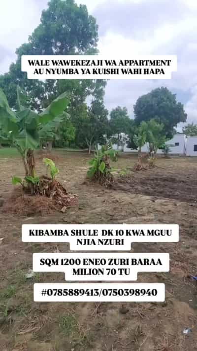 Kiwanja kinauzwa Kibamba Shule, Dar Es Salaam (1200 sqm)