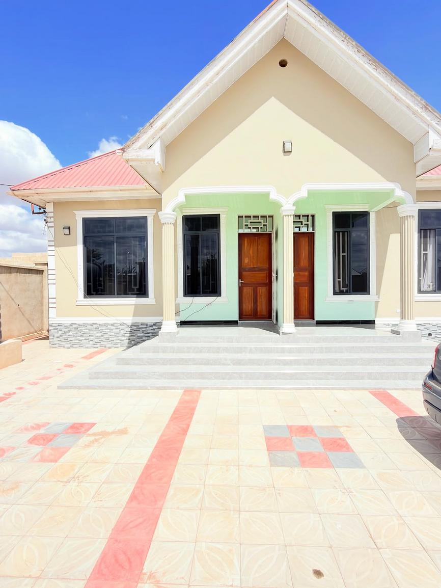 media -1 media -1